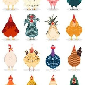 Cute Chicken (Gussie Standard)